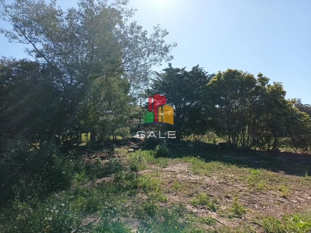 Terreno muy bien ubicado en Piedras del Chileno