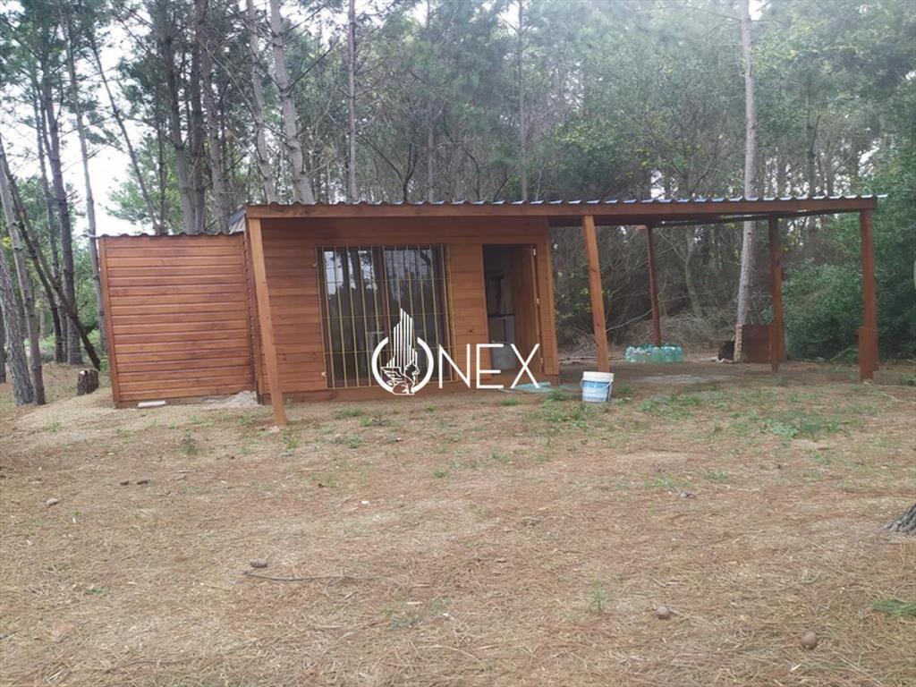 VENDO TERRENO GRANDE + CABAÑA GUAZUVIRÁ