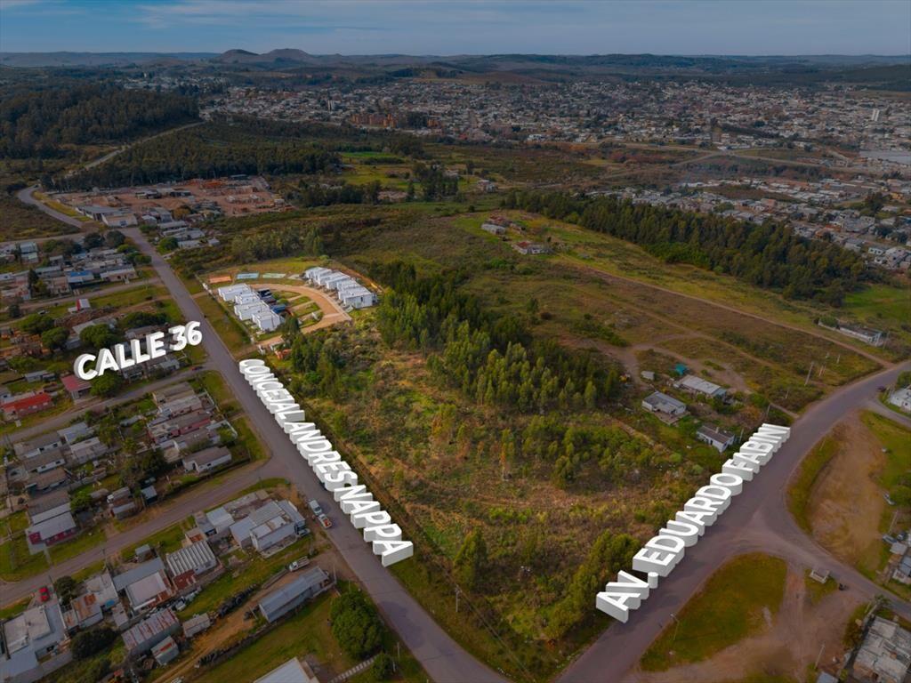Terreno en venta de 20885m2 ubicado en Minas