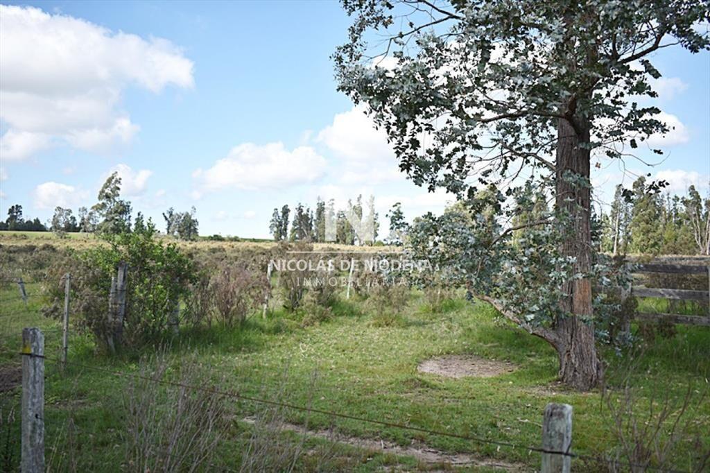 CHACRA SAN CARLOS