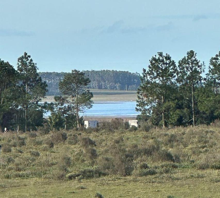 Chacra Jose Ignacio 10 hectáreas