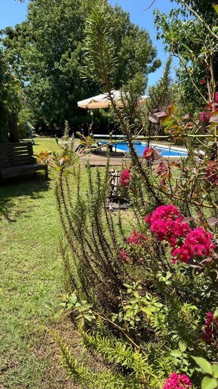 Venta amplia Casa 3 dormitorios con piscina y parrillero a
