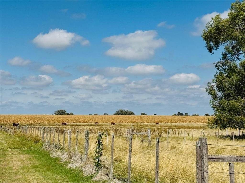 Venta de Campo Agrícola en Soriano