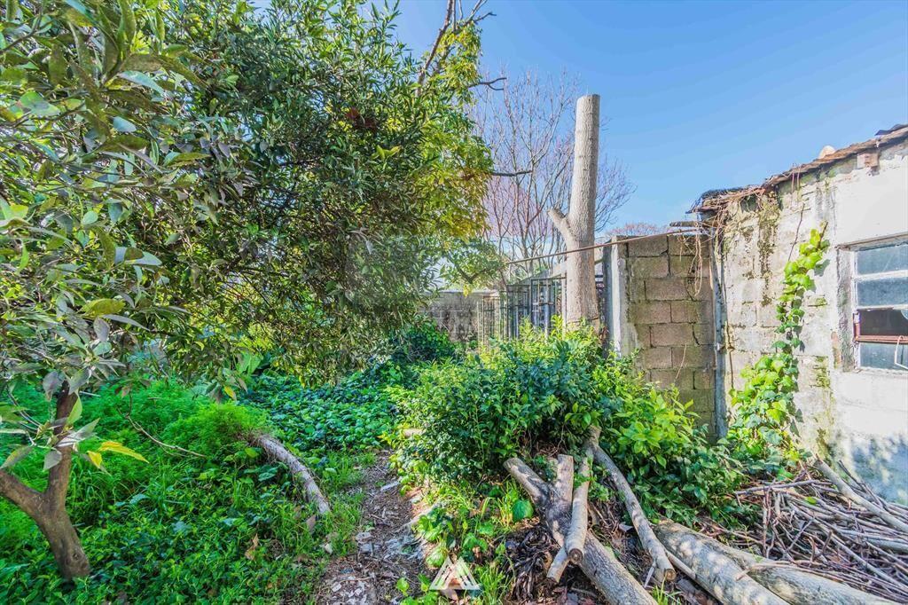 Venta casa 2 dor/local com. Peñarol fondo parrilla