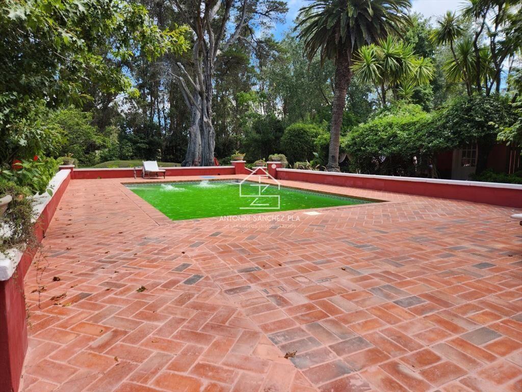 Venta chacra tipo quinta, Punta Ballena