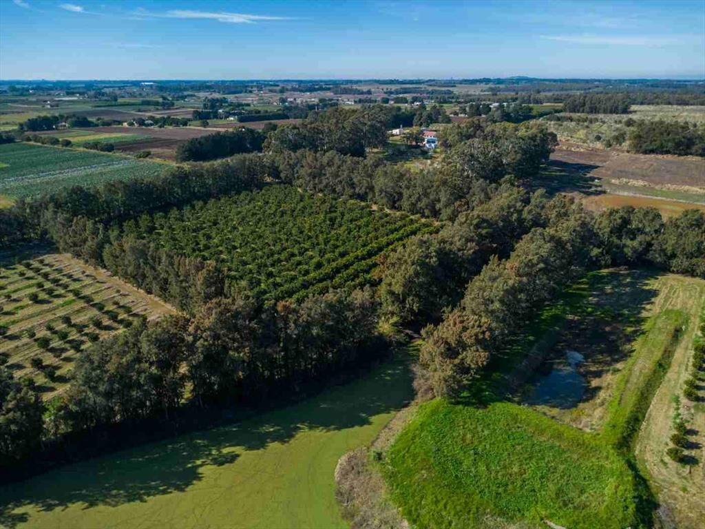 VENTA DE CHACRA 20 has EN PUNTA ESPINILLO