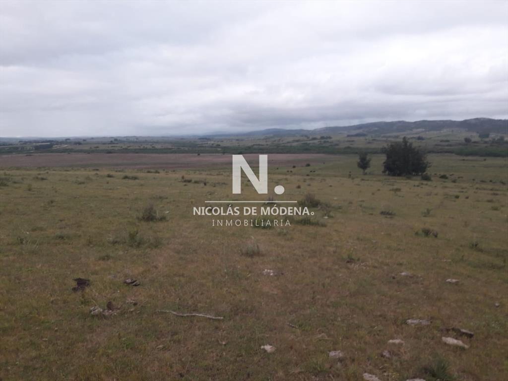 Campo de 47 has en Paraje los Caracoles - !!!!!