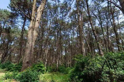 Terreno en venta de 1007m2 ubicado en Laguna Del Sauce
