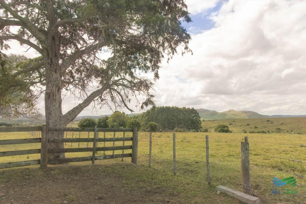 Estancia de 882 Has, campo mixto Ganadero - muy