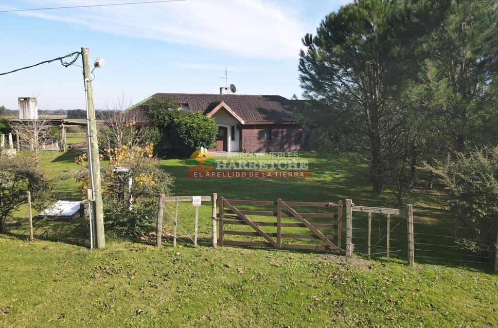 Campo de Olivos en venta, con fábrica de aceite