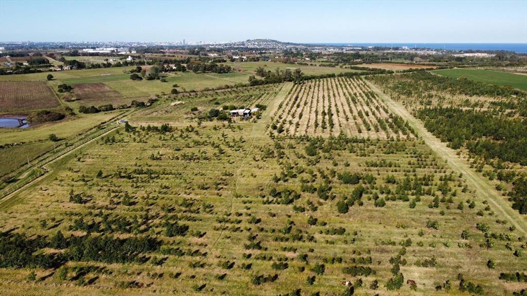 Venta Cno Tomkinson y Luis Medina Torres