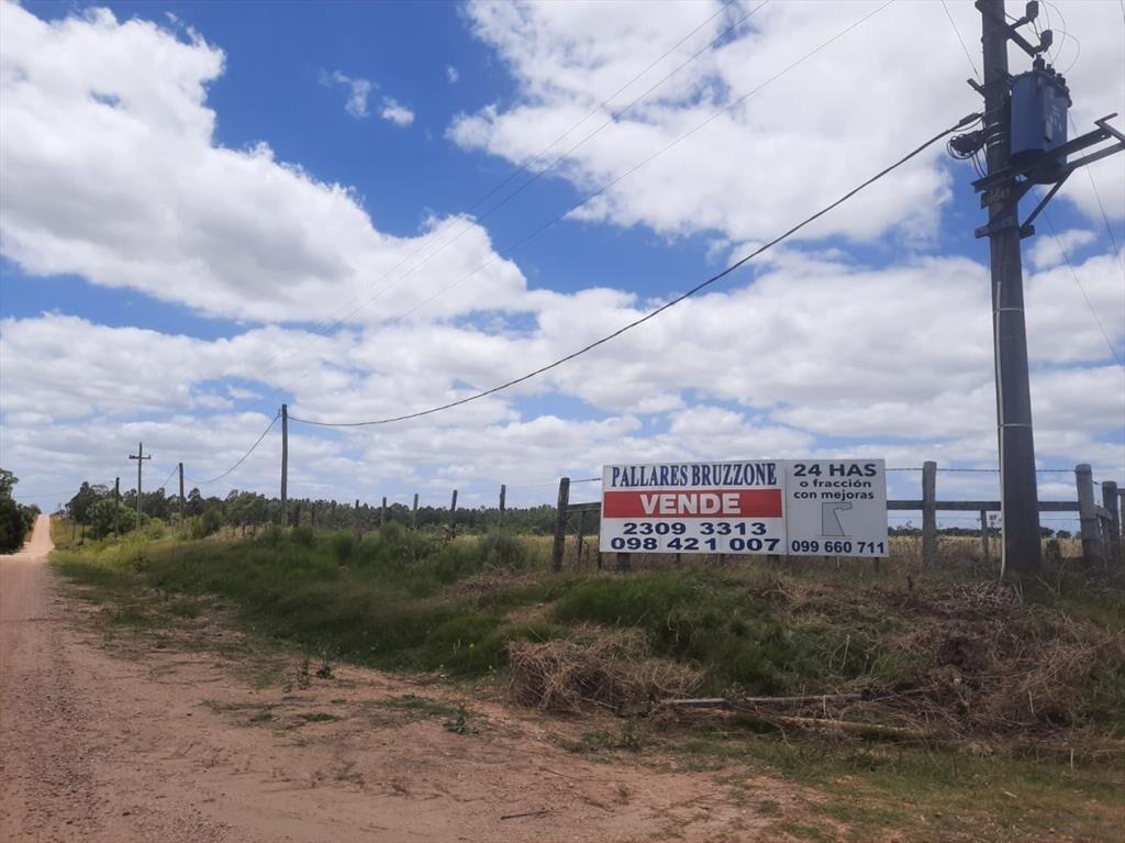 Buen predio rural, 24 héctareas a 600 m Ruta 5, KM 50.