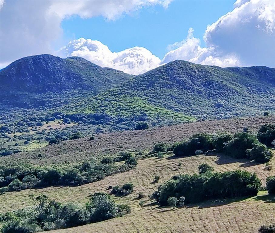 Chacra en Venta entre Ruta 12 y Ruta 60
