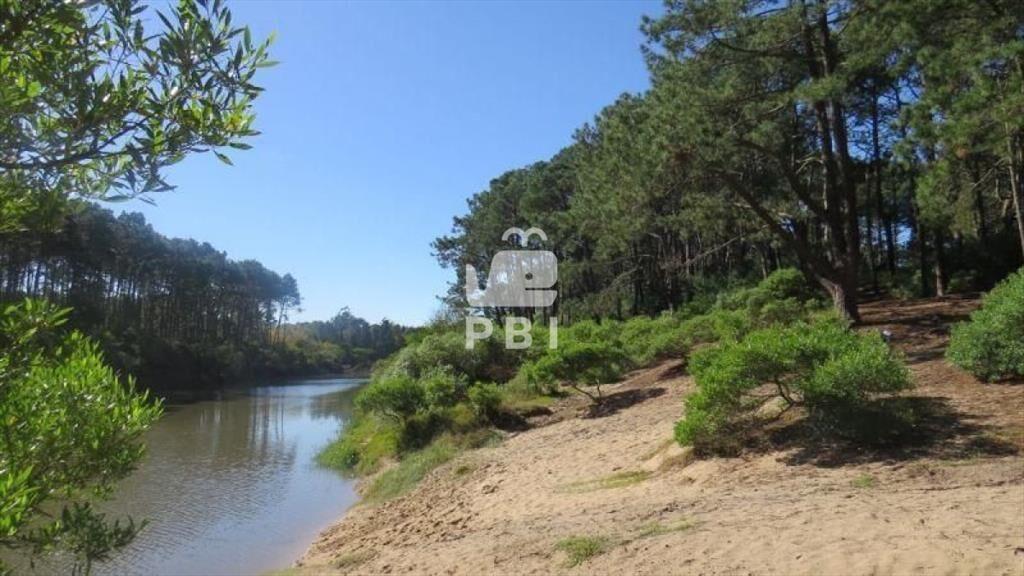 Terreno en venta Chihuahua  - Ref : PBI919