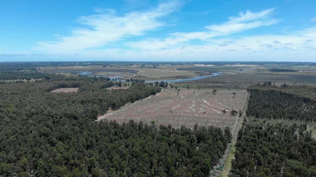 Venta de campo 76Has con costa