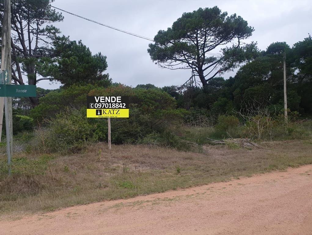 28 de la Brava, 3 cuadras de la Rambla, 1000 m2 !!