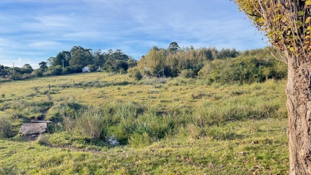 Campo de 4 has 1602 m2 muy cerca de ruta 12 y la