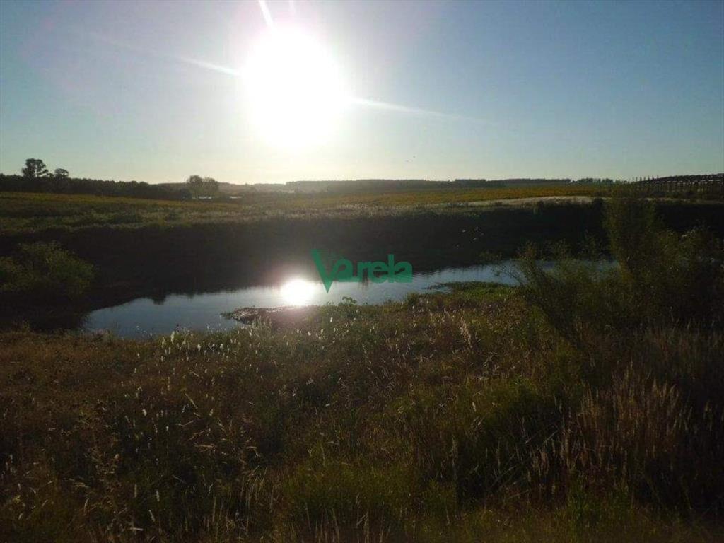 Venta Granja Avícola de 5,6 Has sobre ruta 11