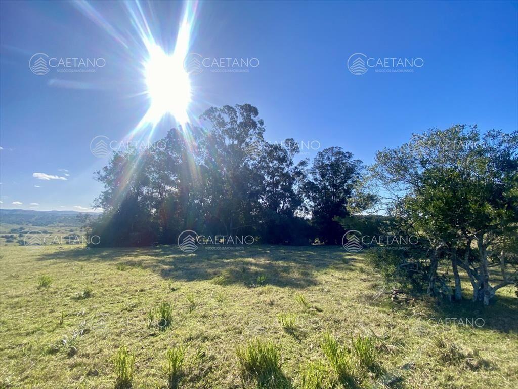 Venta chacra 5 hectáreas. Camino del Olivo,