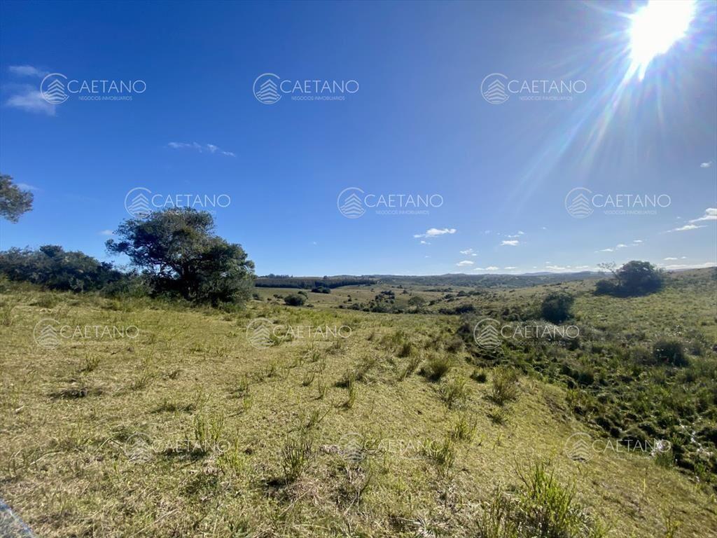 Venta chacra 5 hectáreas. Camino del Olivo,