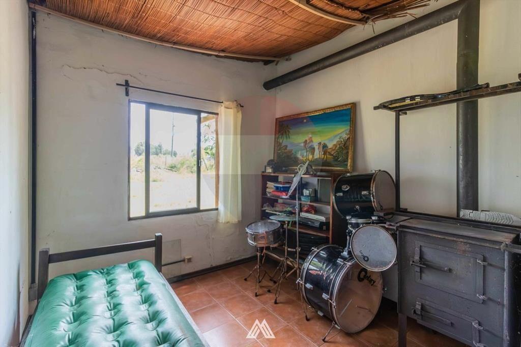 Venta CAMPO 29ha 2 CASAS en Est. Pedrera Ruta 88