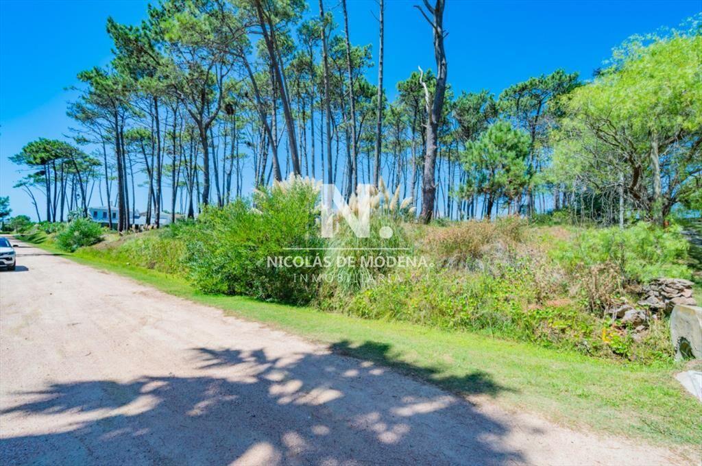 Vende terreno en Laguna Blanca.