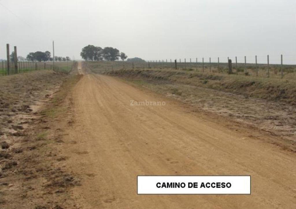 Estancia Agrícola Ganadera I Cerro Largo I Ha: 525. IC: 113