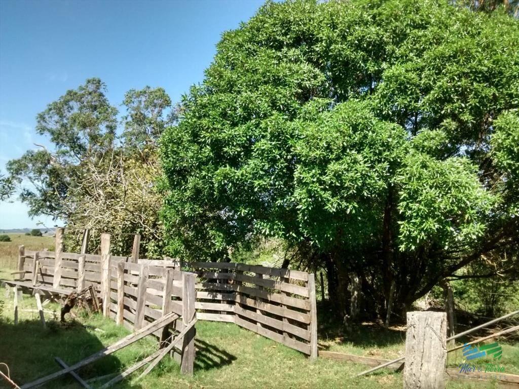 Lindo campo ganadero de 78 Has muy bien ubicado,