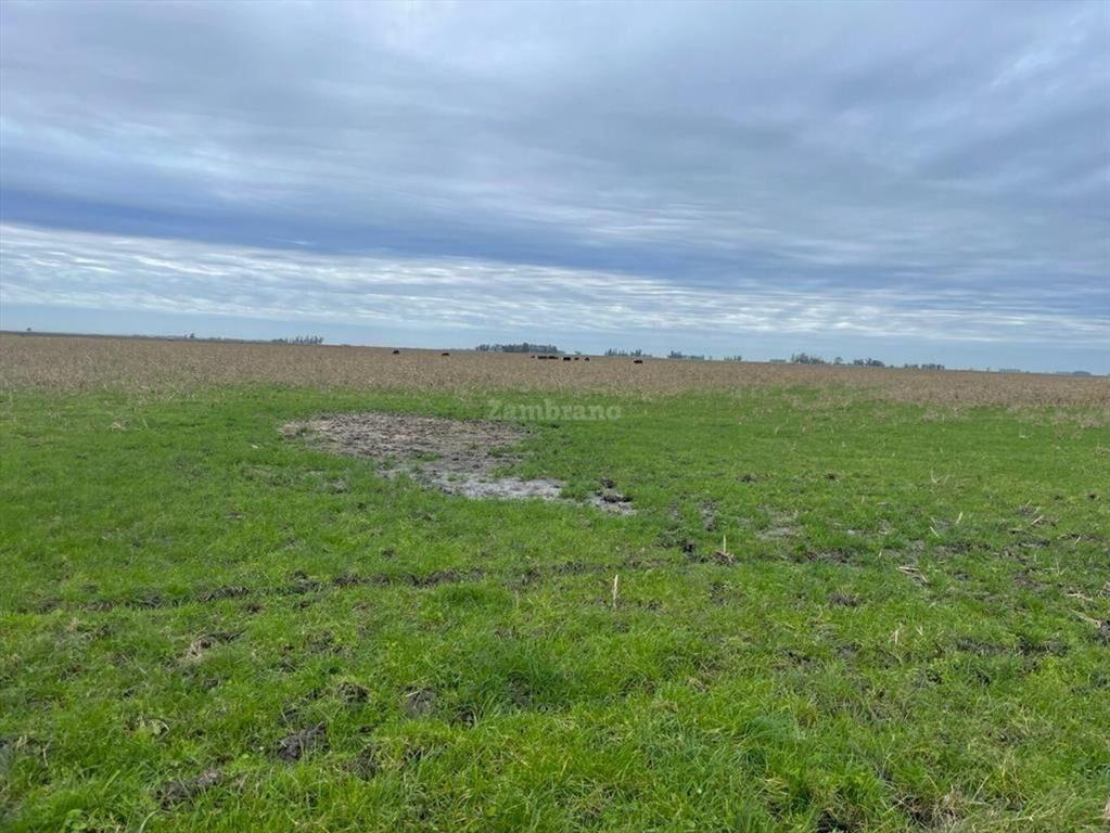 Estancia Ganadera Agrícola en Lavalleja