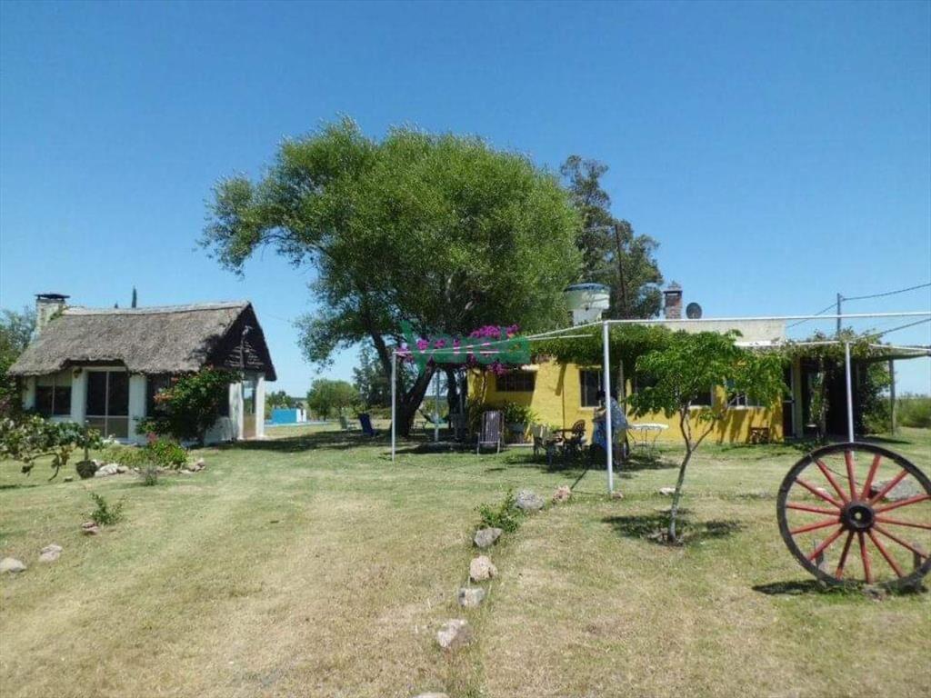 Venta Granja Avícola de 5,6 Has sobre ruta 11