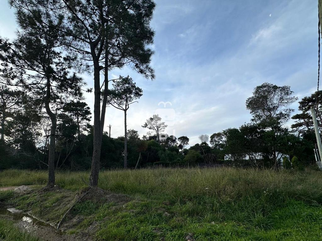Terreno en Ocean Park - Ref : PBI2920