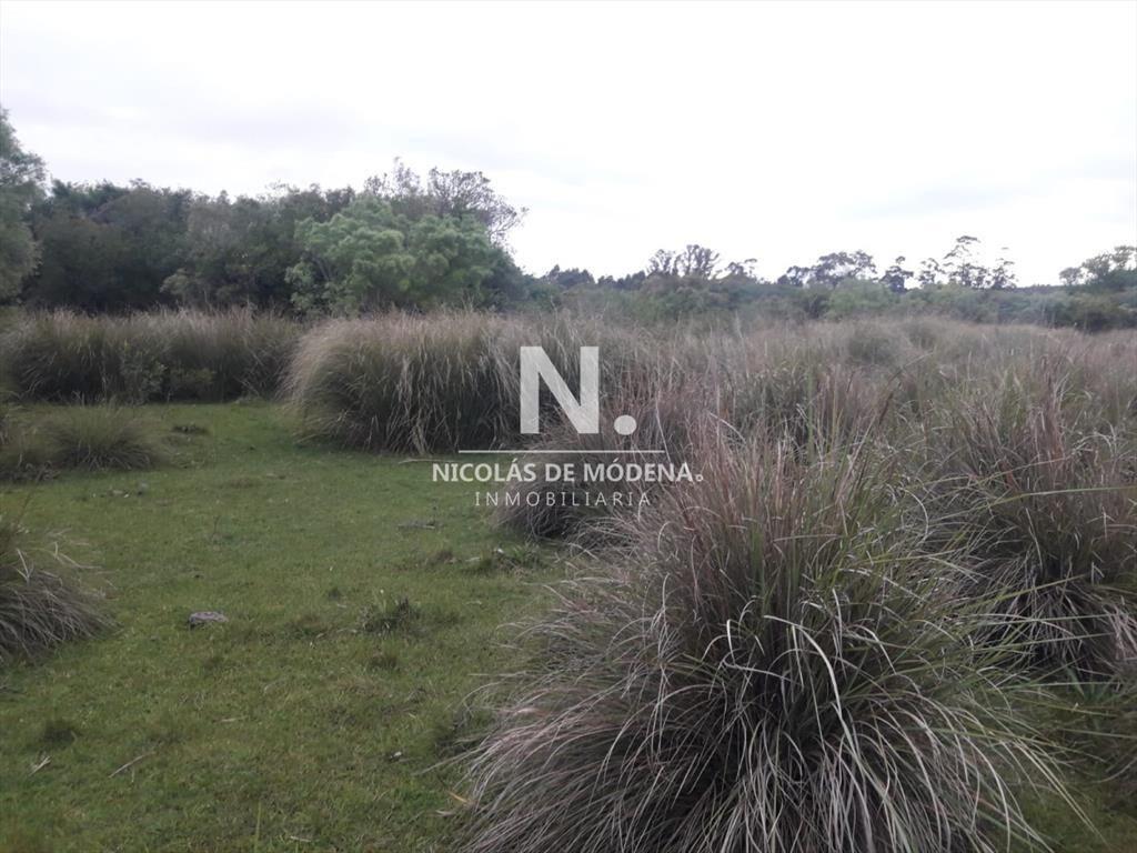 Campo de 47 has en Paraje los Caracoles - !!!!!