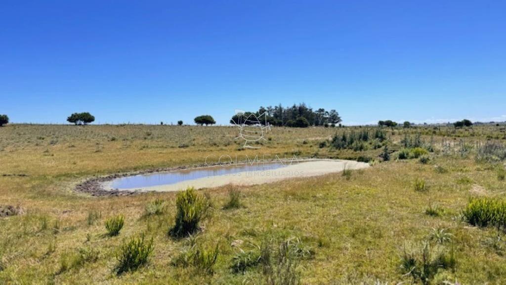 Se venden 2 chacras a 15 km de San Carlos