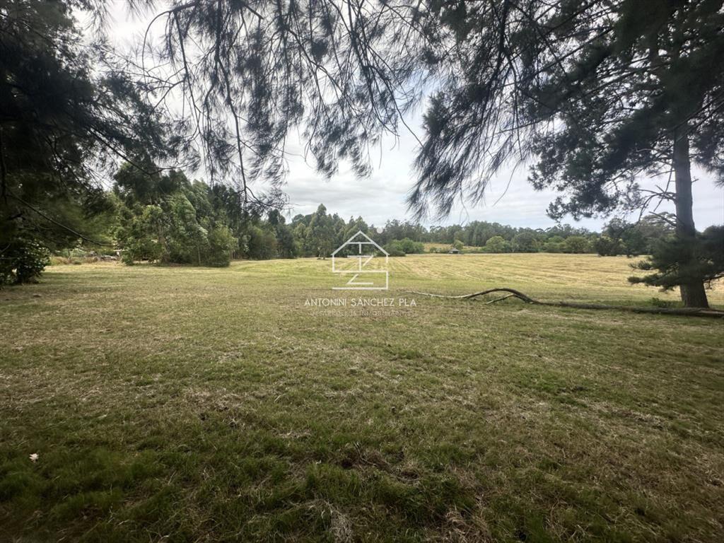 Venta chacra en punta Ballena
