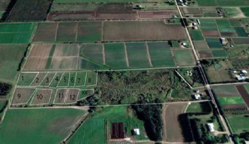 VENTA DE CHACRA DE 11 HECTÁREAS ZONA PAJAS BLANCAS