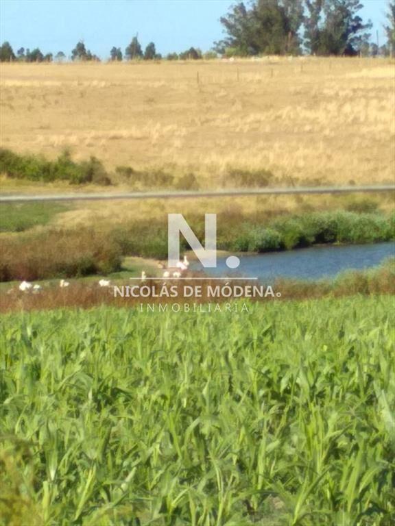 Ruta 104 zona ideal para vivir todo el año