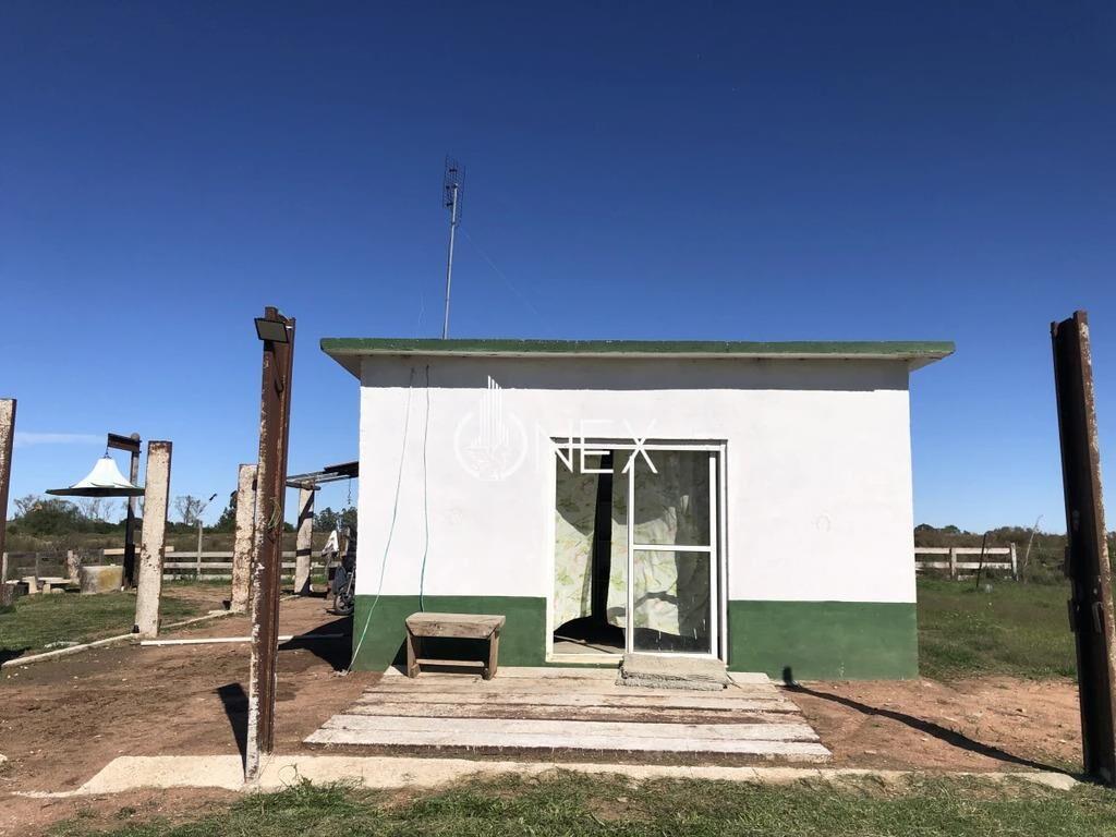 Se vende Chacra de 4ha más casa, sobre ruta