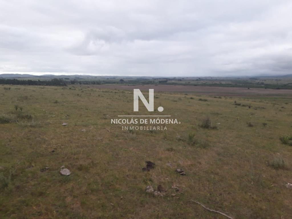 Campo de 47 has en Paraje los Caracoles - !!!!!