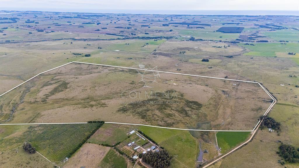 Venta campo 120 hectáreas, Garzón , Maldonado