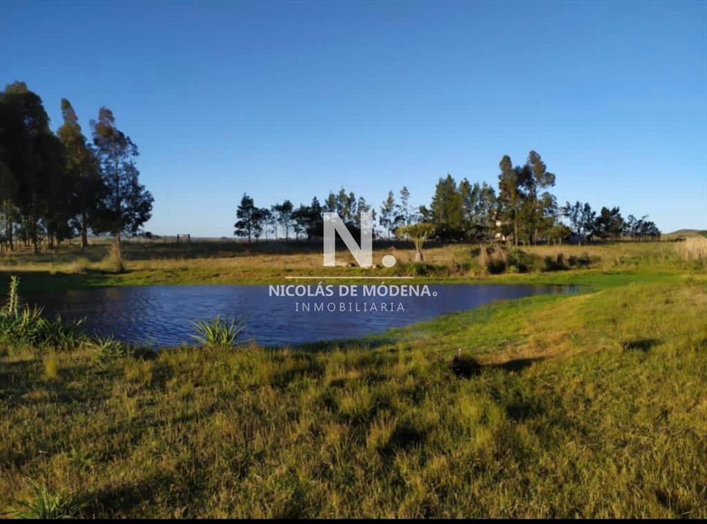 Campo de 5 hectáreas en venta.