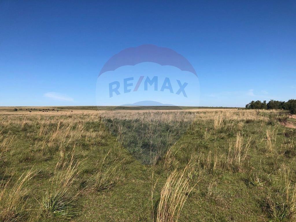 Venta Campo Río Negro - Ganadero Agrícola 350 has