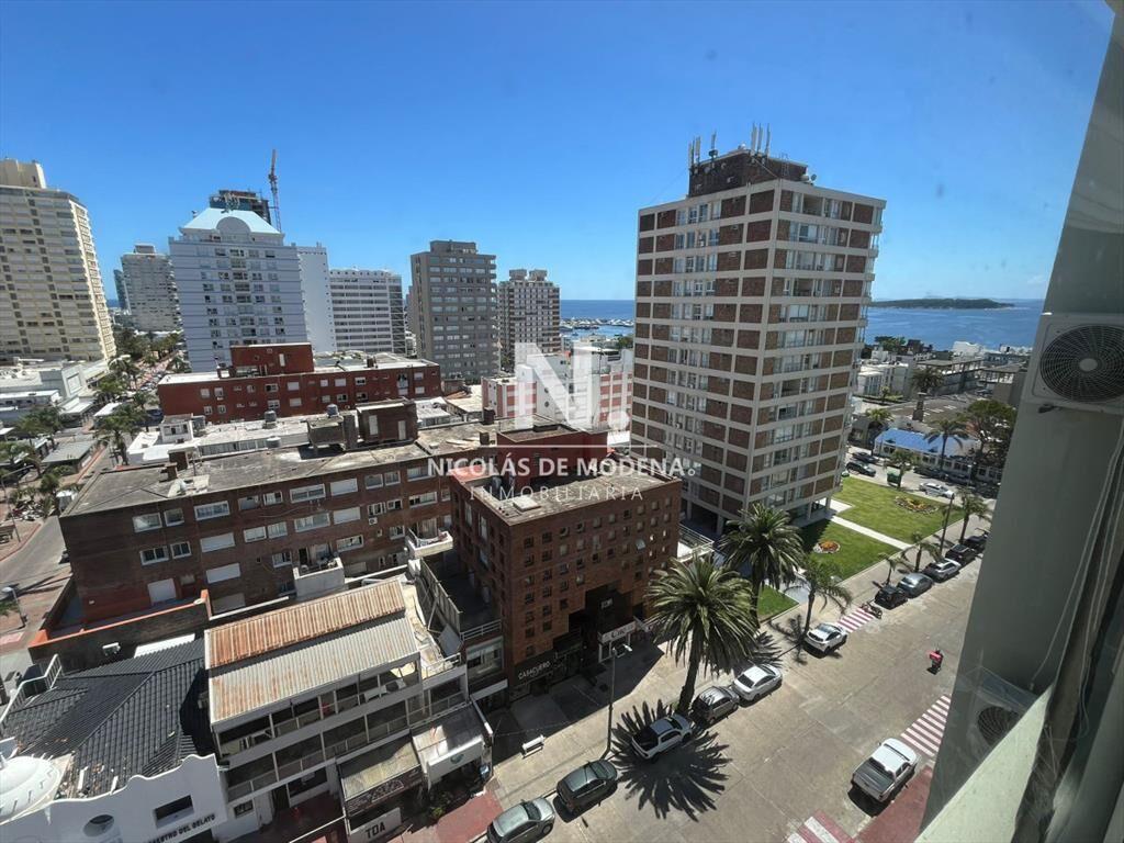 Departamento  en alquiler de 2 dormitorios  Punta
