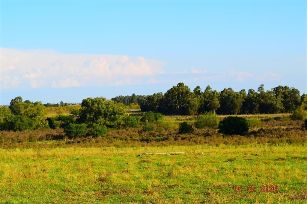 Venta Chacra con casa en Santa Rosa