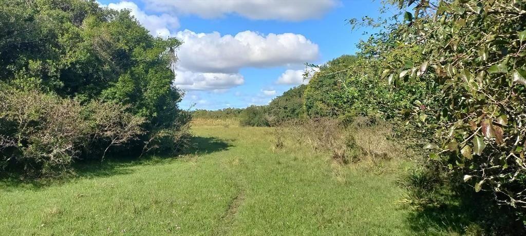 Campo en Rocha