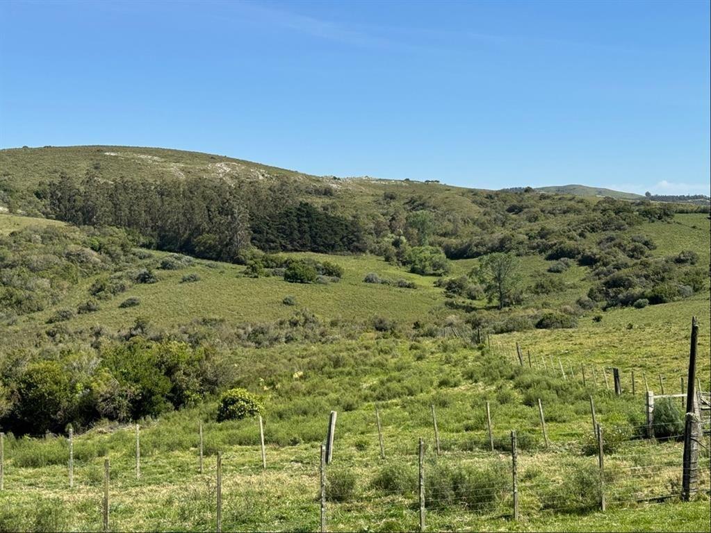 Venta de Campo de Sierra de los Caracoles un paraíso a 20 m