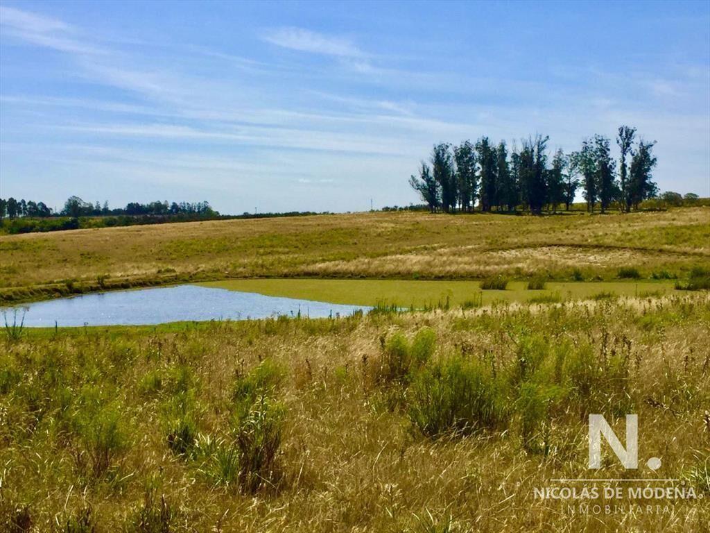Campo productivo en zona José Ignacio