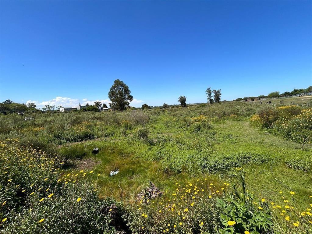 VENTA DE TERRENO SAN CARLOS MALDONADO