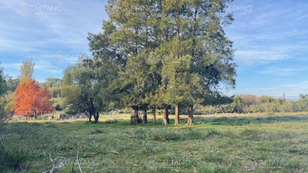 Campo de 4 has 1602 m2 muy cerca de ruta 12 y la