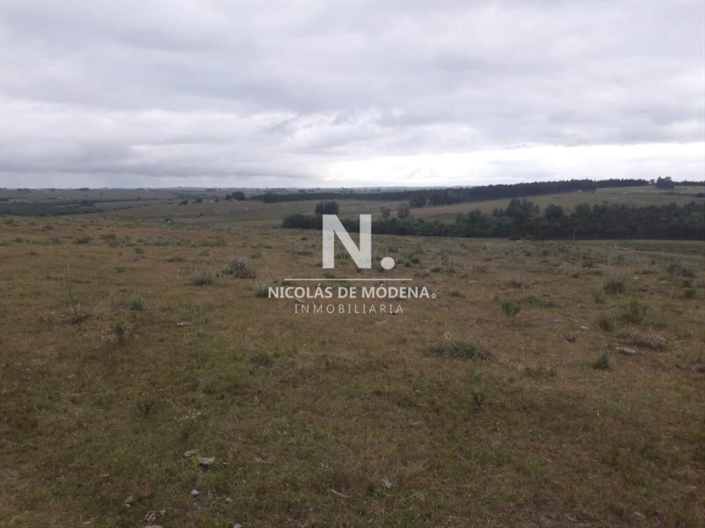 Campo de 47 has en Paraje los Caracoles - !!!!!