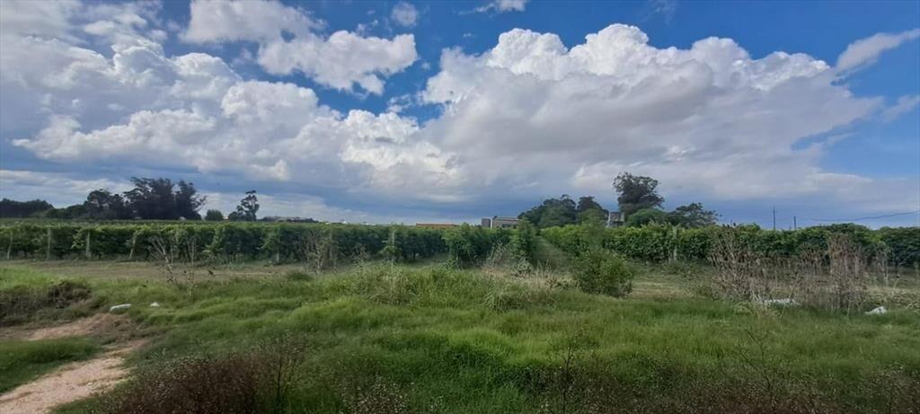Venta terreno logístico industria Bajo la Petisa